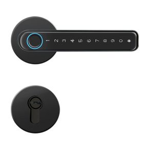 Smart Intelligent Door Lock via TUYA App