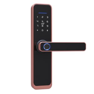 Intelligent Smart Door Lock X9RG