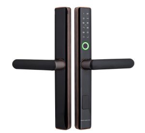 Intelligent Smart Aluminum Door Lock DL01